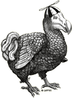 Cartoon Drawing of a Dodo